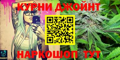 гидра Кандалакша