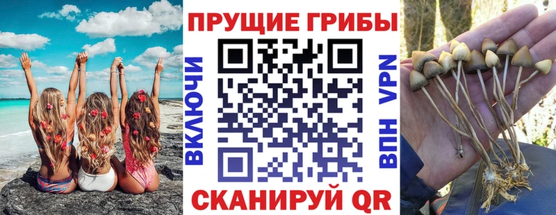 Галлюциногенные грибы мухоморы  цена наркотик  Элиста 