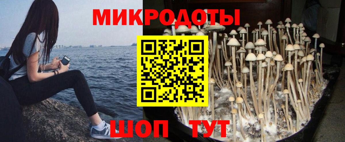 Галлюциногенные грибы мухоморы Элиста