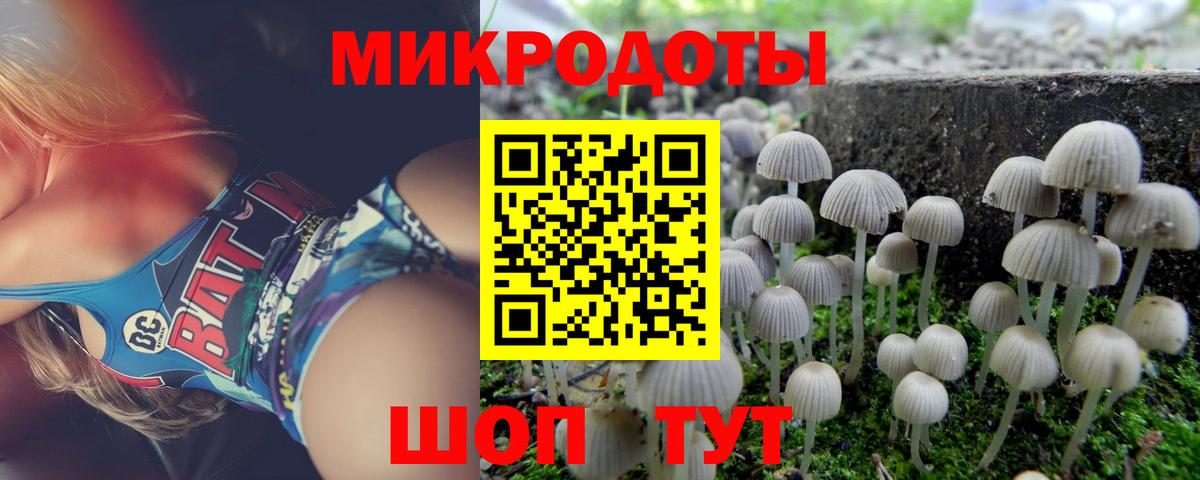 Элиста  Псилоцибиновые грибы Magic Shrooms  Псилоцибиновые грибы прущие грибы  Вход с VPN 
