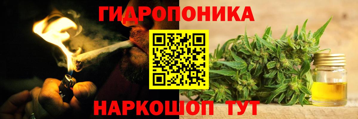 Бошки марихуана Ganja  Каннабис Bruce Banner  Вход с VPN  Элиста  Конопля Ganja  Шишки марихуана конопля 